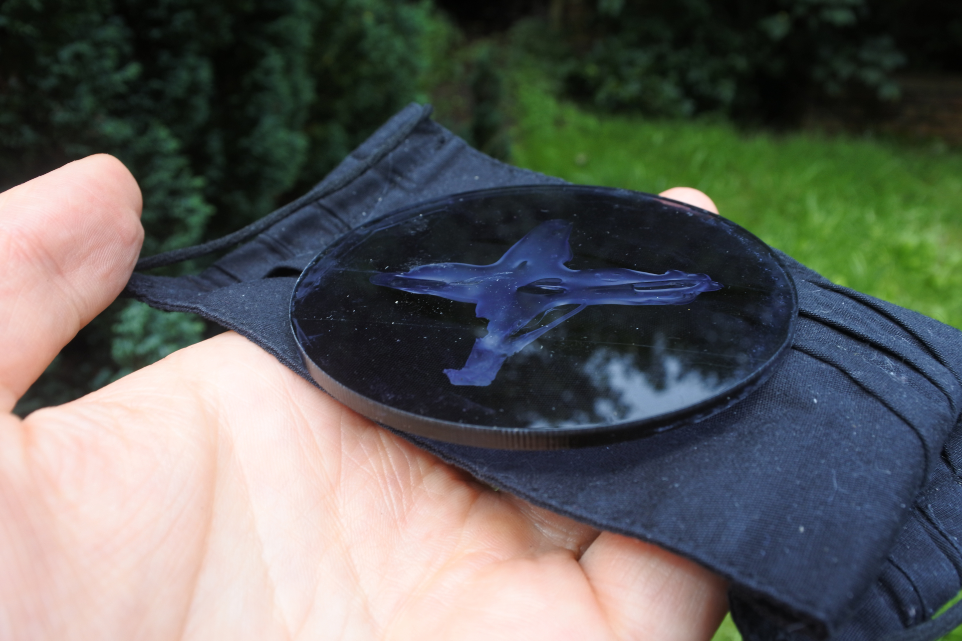 White glue sticks are obvious in the sunlight